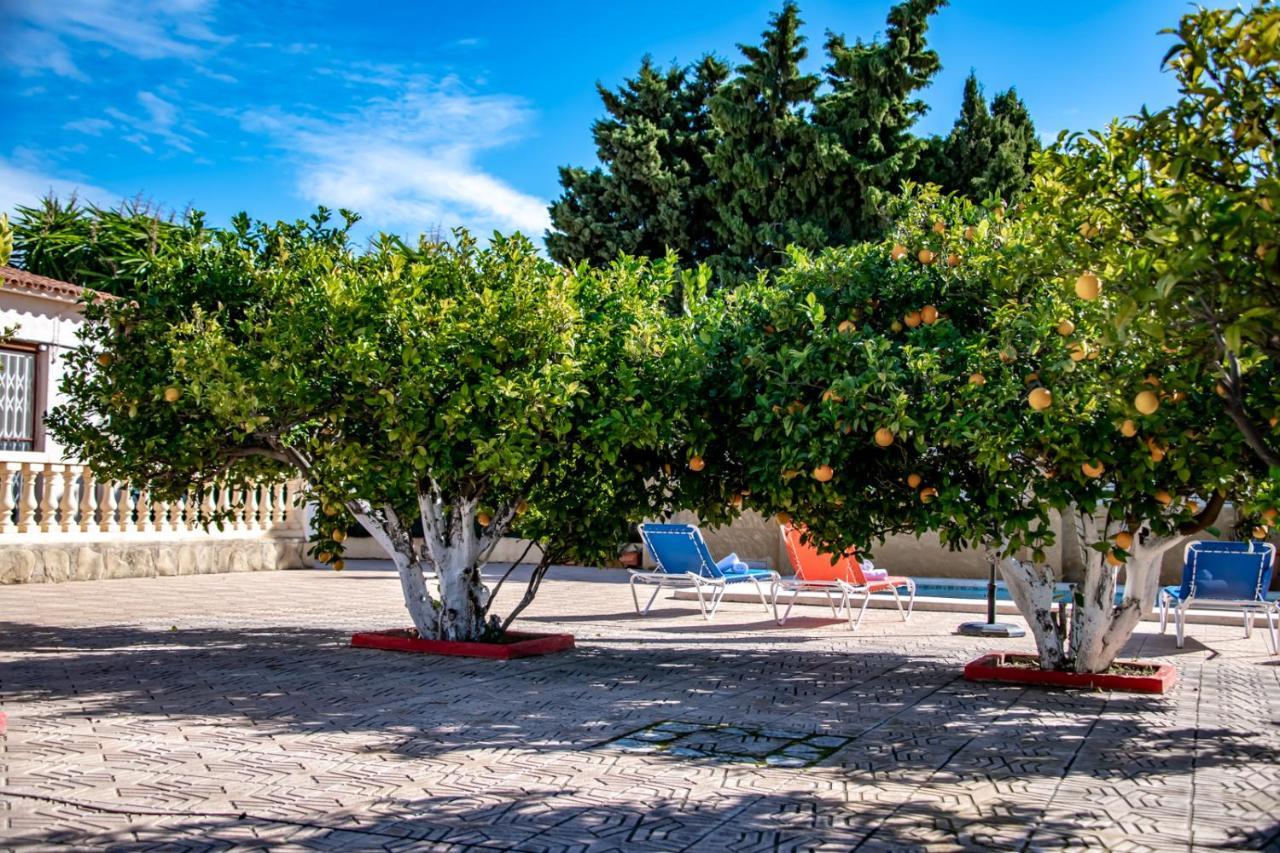 Villas Guzman Ismael Calpe Bagian luar foto